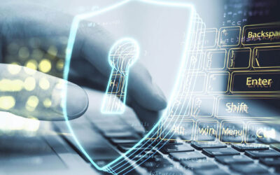 Guarding Your Digital Oasis: Fortifying Website Security & Ensuring Asset Protection