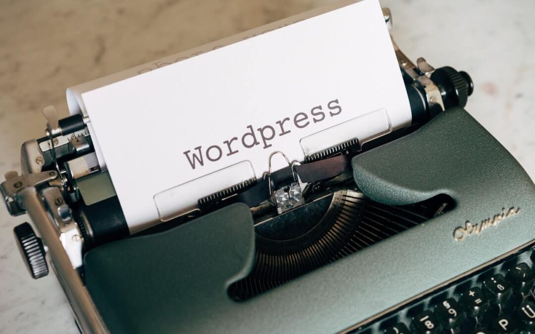 WordPress 6.2 ~ Dolphy!